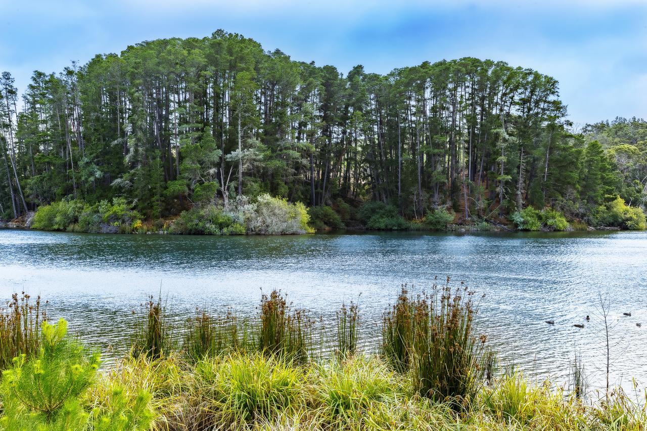 The Sebel Creswick Forest Resort Exteriör bild